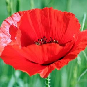 Meet your Posher, Vitaliy